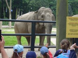 Czytaj więcej: Wycieczka do ogrodu zoologicznego